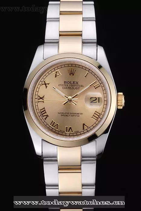 Rolex Datejust Stainless Steel And Gold Case Gold Dial Pant60161